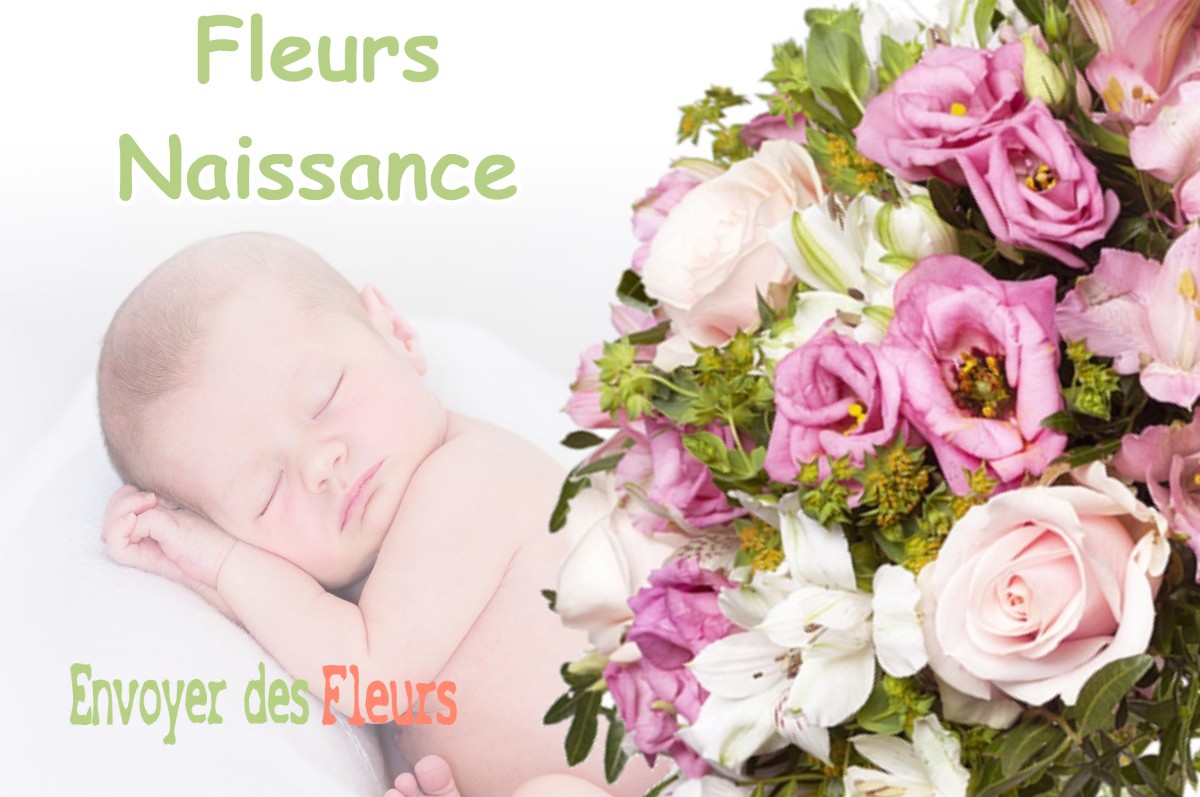 lIVRAISON FLEURS NAISSANCE à LEVIGNACQ